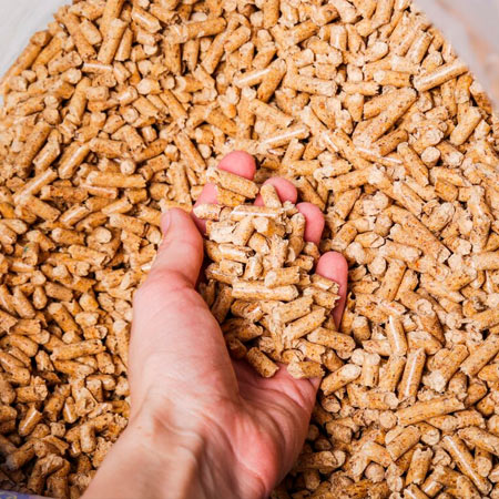 Como as Inovações Transformam a Cadeia Alimentar
