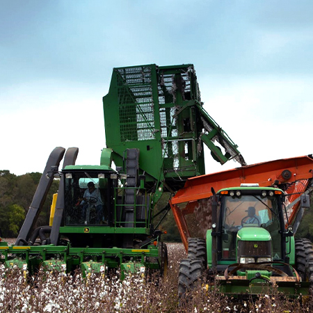 Ozônio na Agricultura: Uma Revolução Verde
