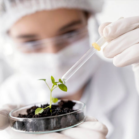 Descubra as Inovações em Bioinsumos Agrícolas: Uma Análise Detalhada da Parceria Embrapa e INPI