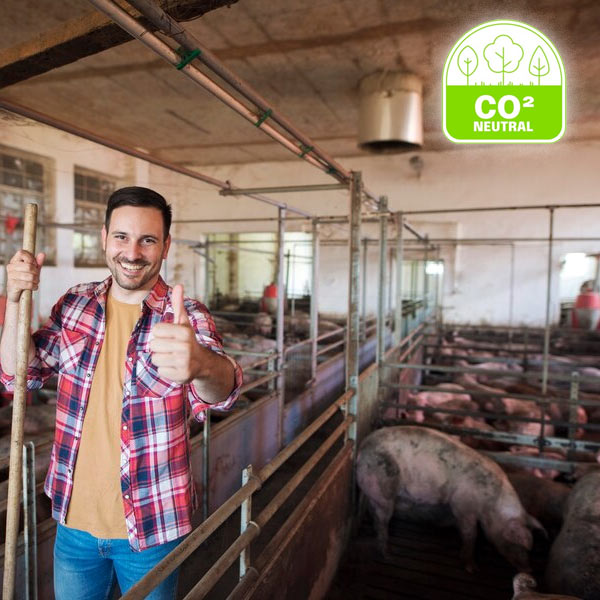 Suinocultura sustentável e a carne carbono negativo: rumo ao futuro!