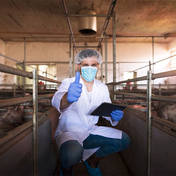 Elimine os Adsorventes de Micotoxinas: Conheça a Solução Sustentável dos Biorreatores de Ozônio