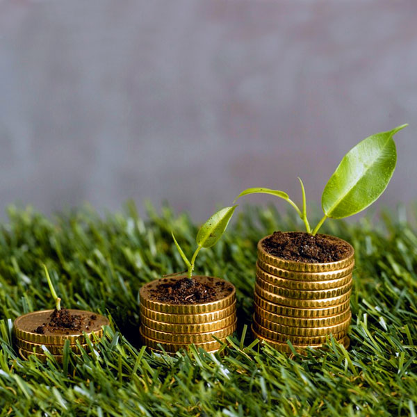 Desafios econômicos no agronegócio: como reduzir custos com soluções inovadoras