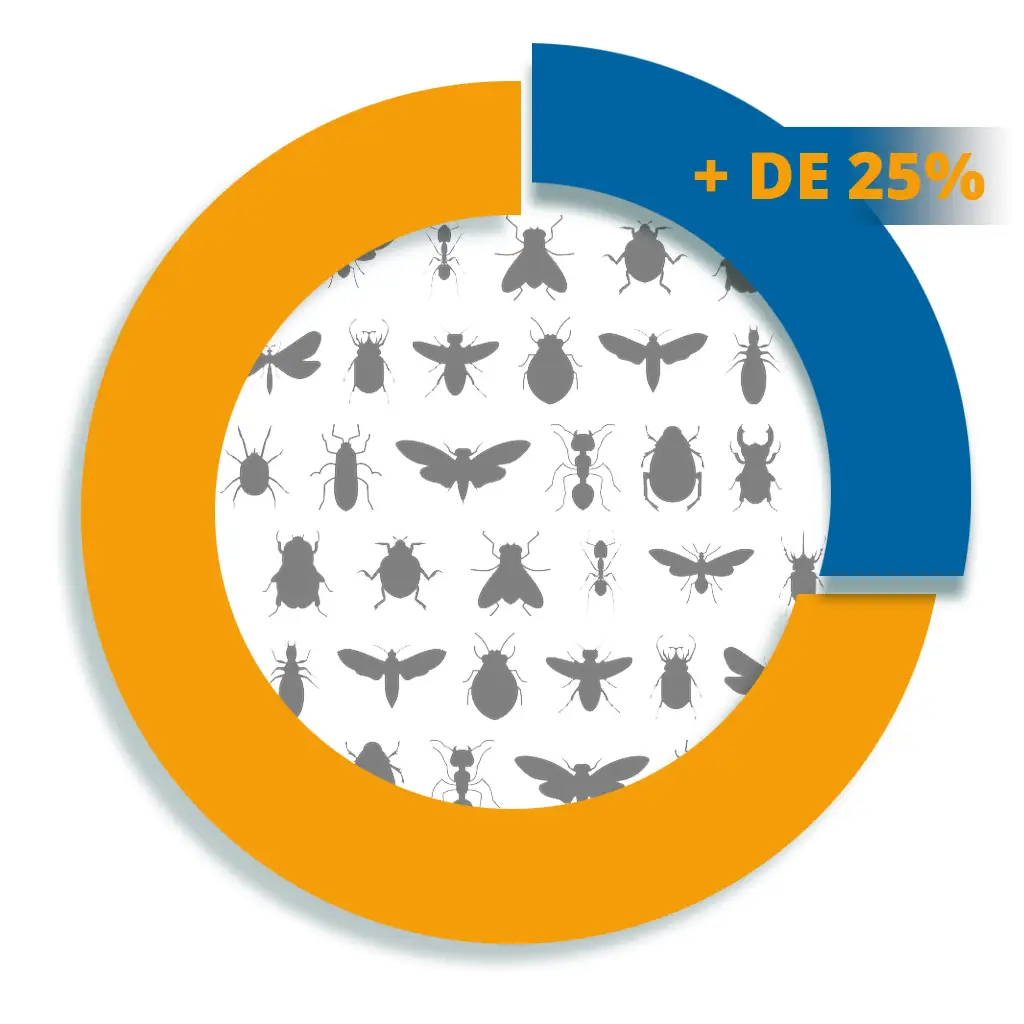 Gráfico